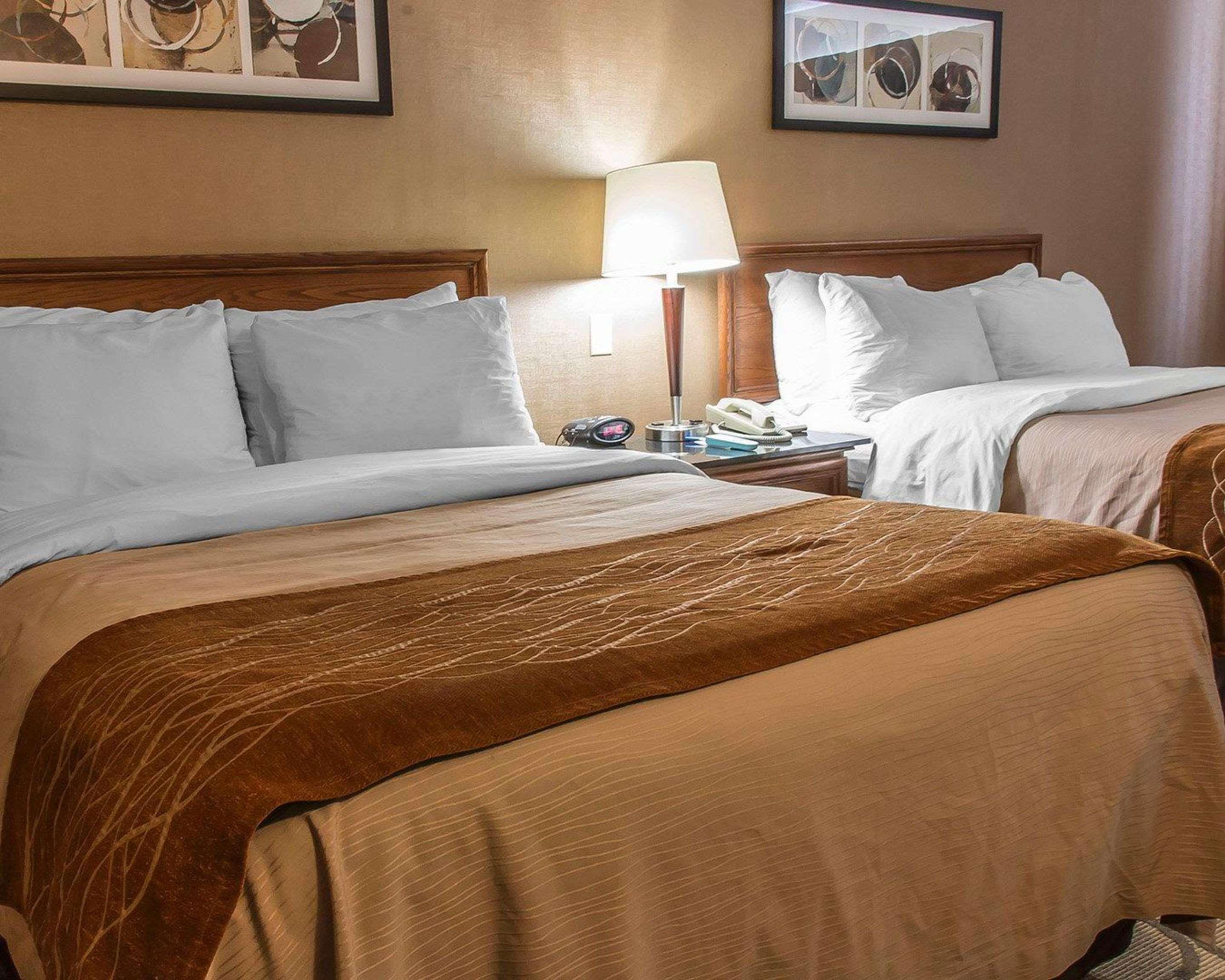 Comfort Inn Brandon Dış mekan fotoğraf